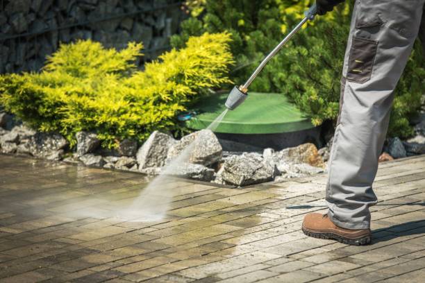 Best Factory Floor Cleaning  in Lake City, IA